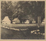 Cabins at Wilhoit Mineral Springs